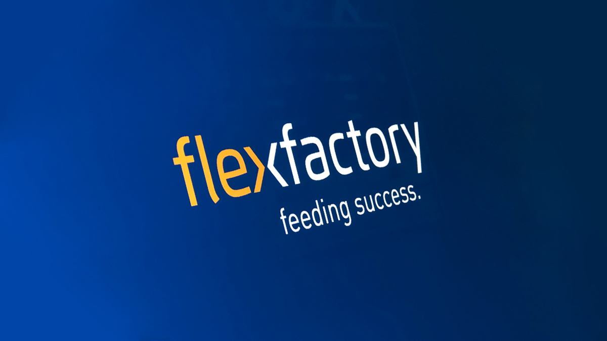 X und Y Design Flexfactory Internet Logo 7106